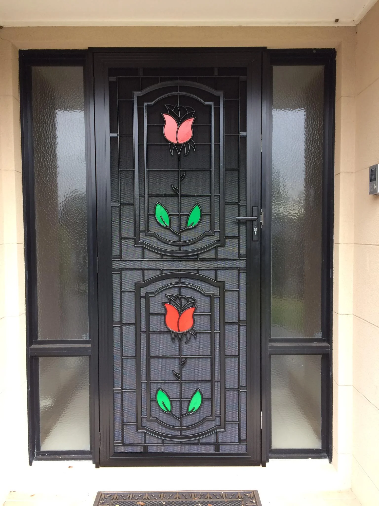 Security Door for Home